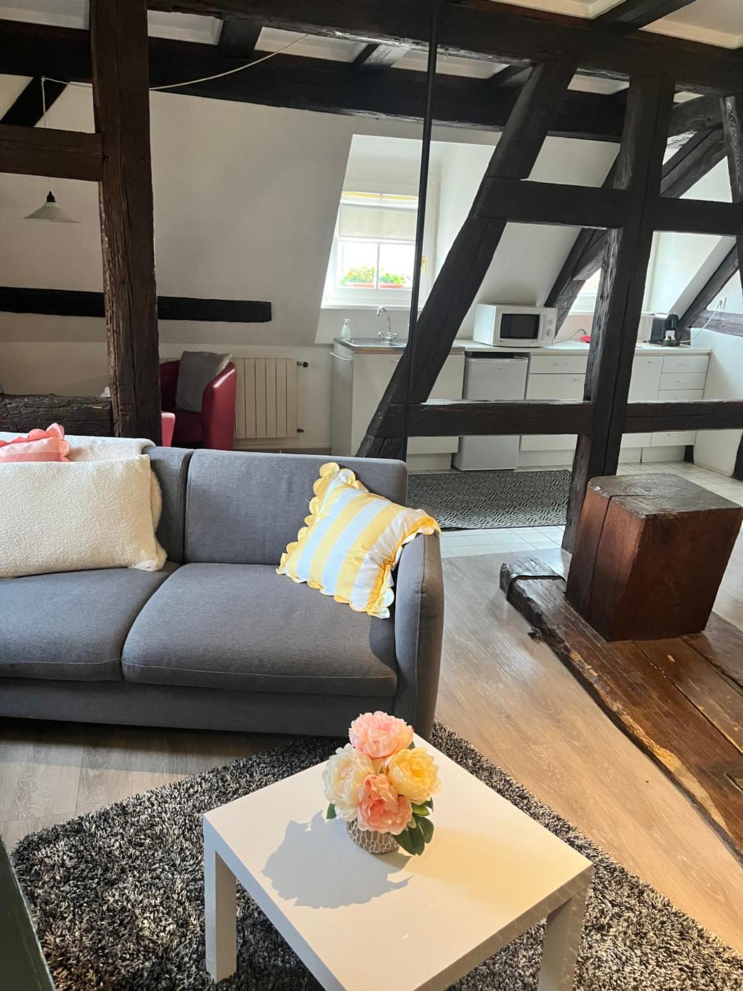 Appartement Bastion De Riquewihr Exteriér fotografie